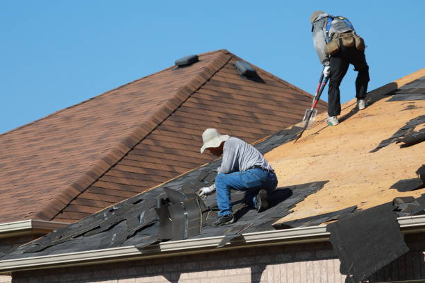 Best Emergency Roof Repair Services  in Rainbow Park, FL